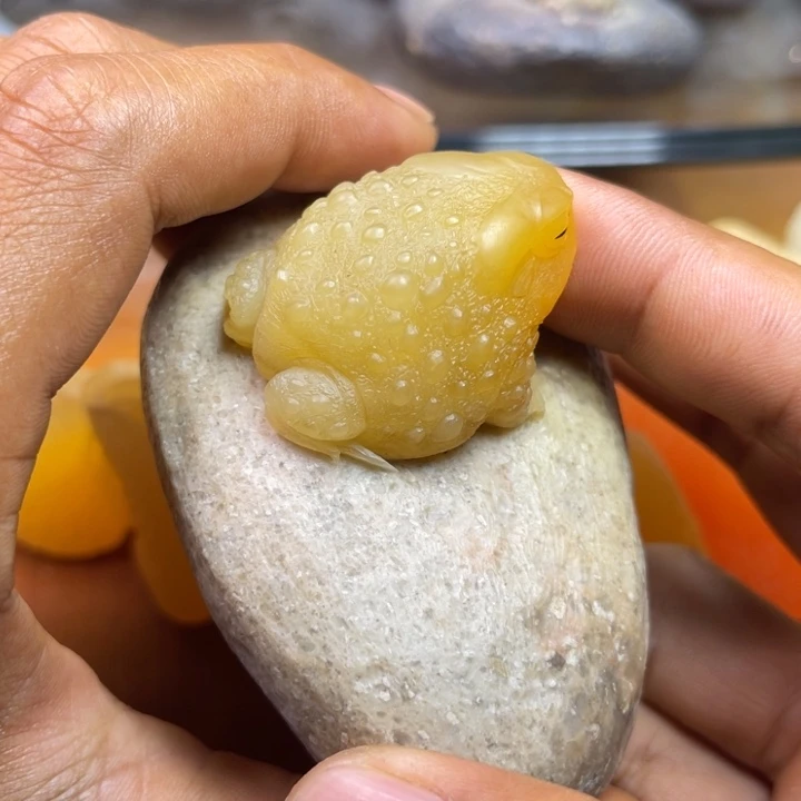 老挝石孙****#1111111111111111