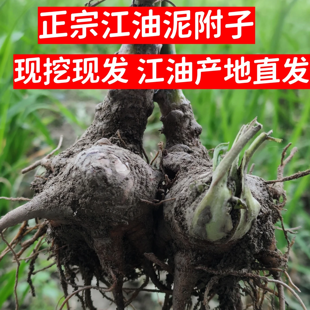 江油 特产产地直发