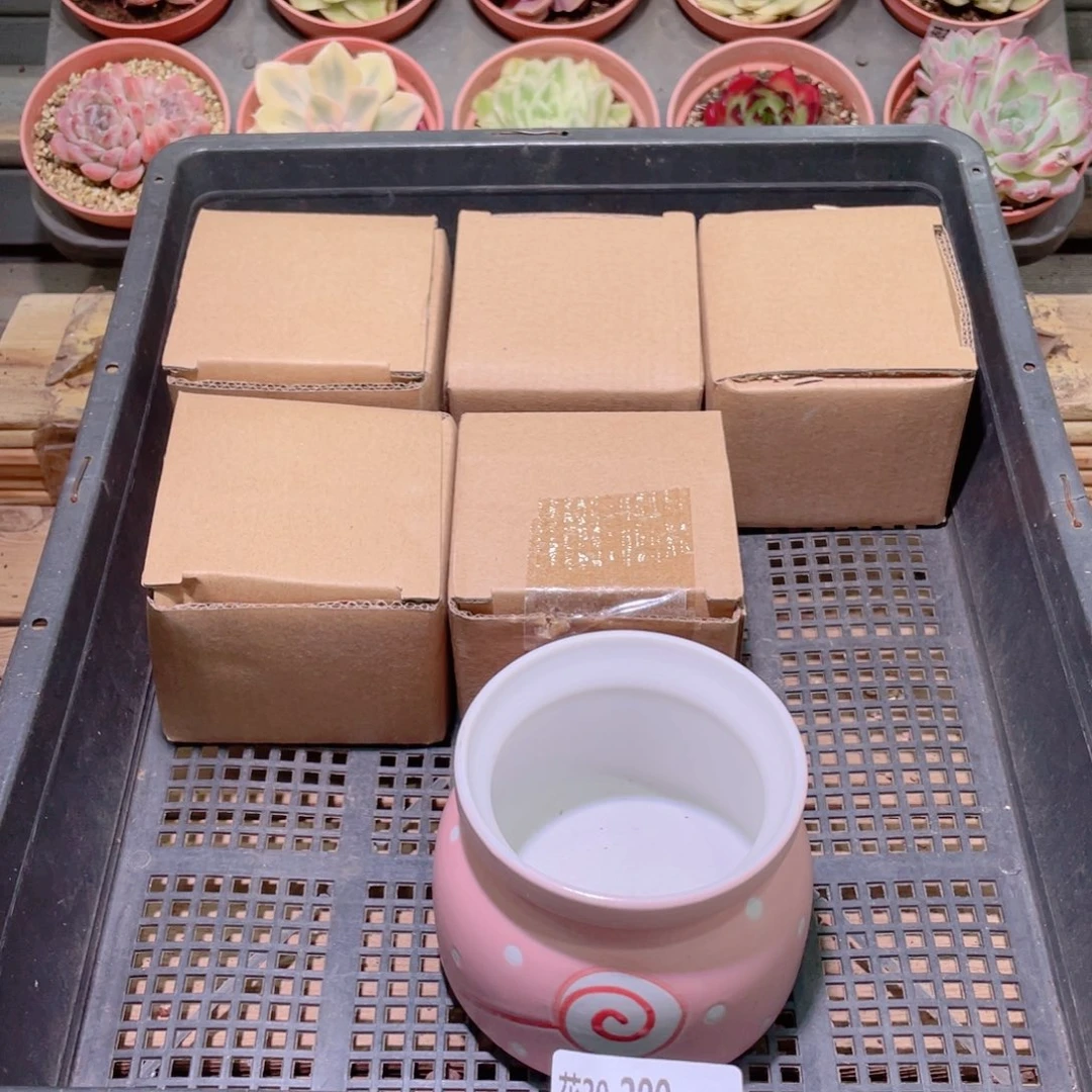 花利美20-201花盆6个