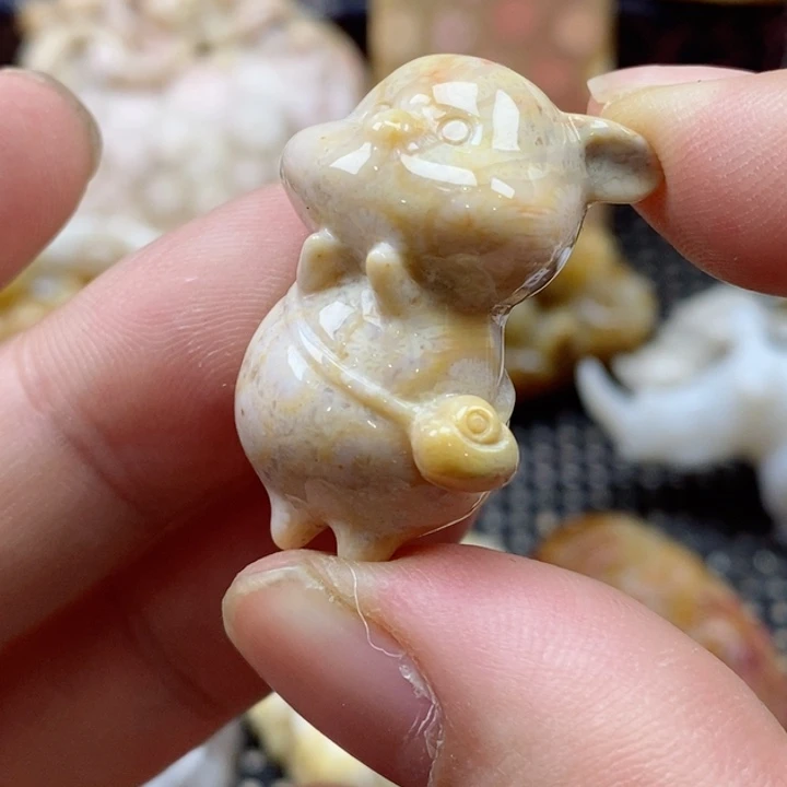 硅化珊瑚（珊瑚玉）颈饰未镶嵌