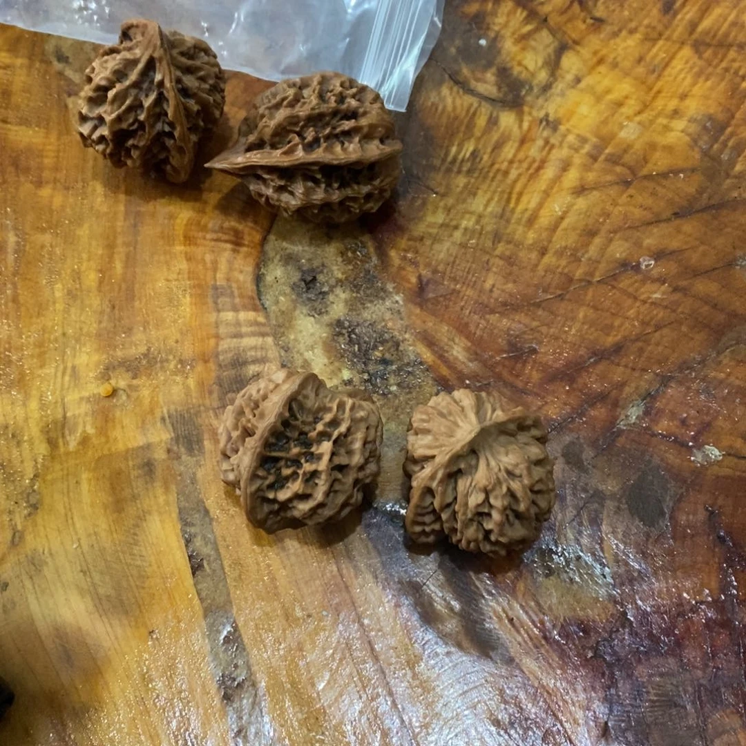 秦岭南侧和秦岭北缘分别