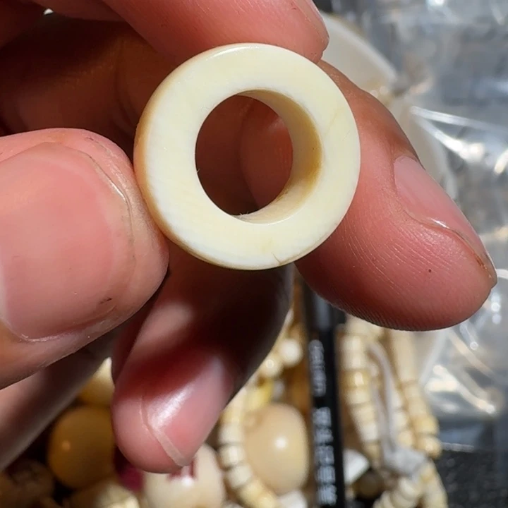 无***段菩提根/象牙果吊坠