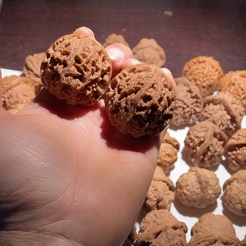 文玩核桃把件水龙