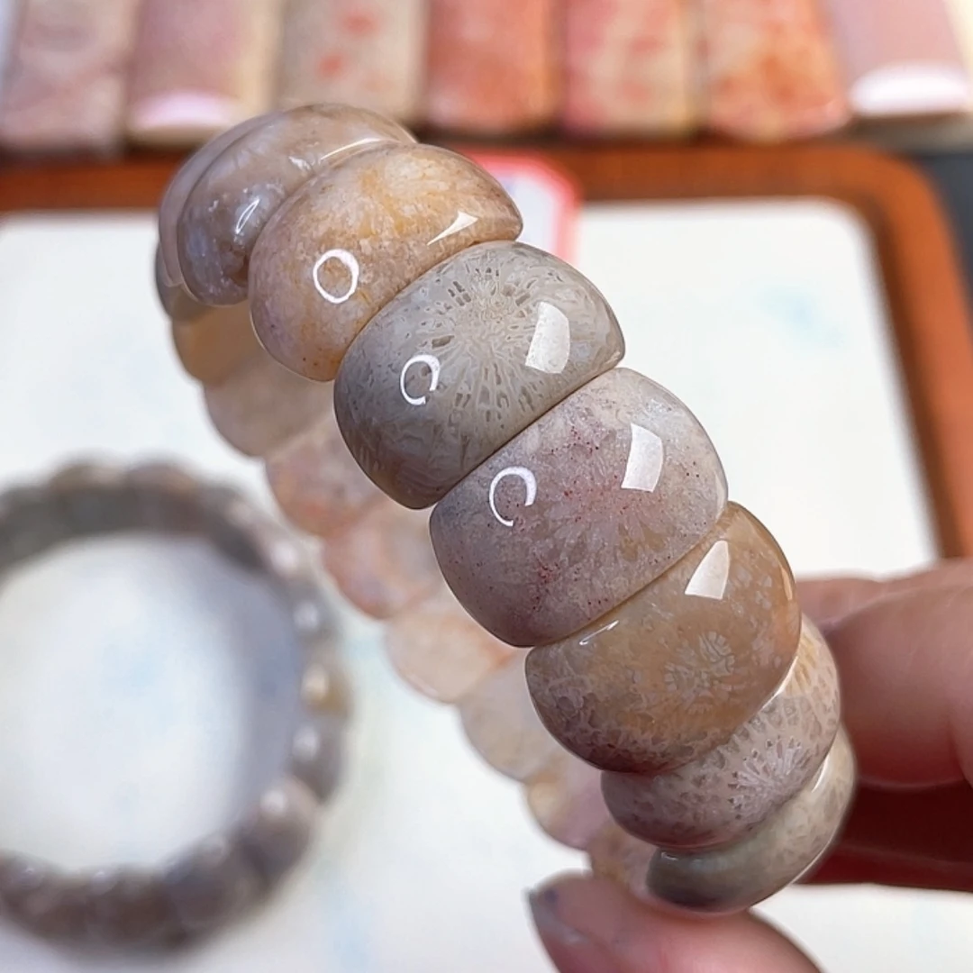 【闪购商品】硅化玉吊坠(赠链)未镶嵌乌****子