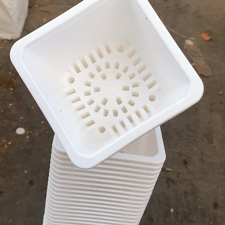 100白方盆9公分高7公分20个