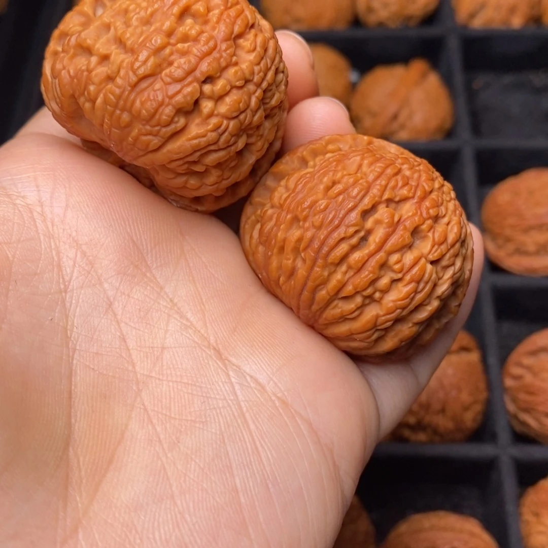 秦岭野生文玩核桃