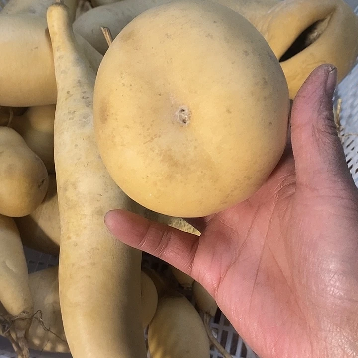 葫***生手把件葫芦摆件葫芦