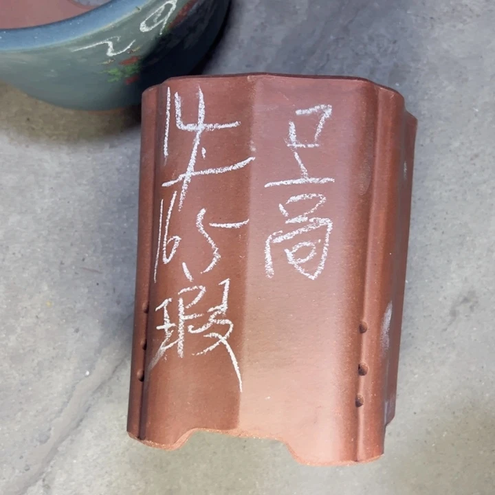 周深周深周深周深