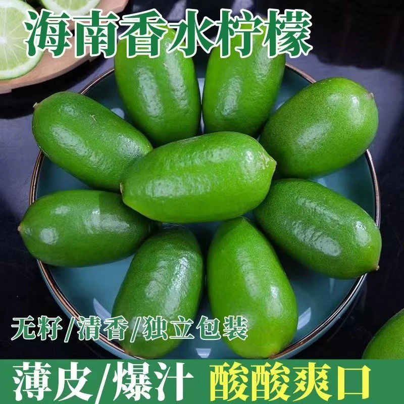正宗海南无籽香水柠檬无籽子弹头当季水果新鲜采摘奶茶店专用柠檬