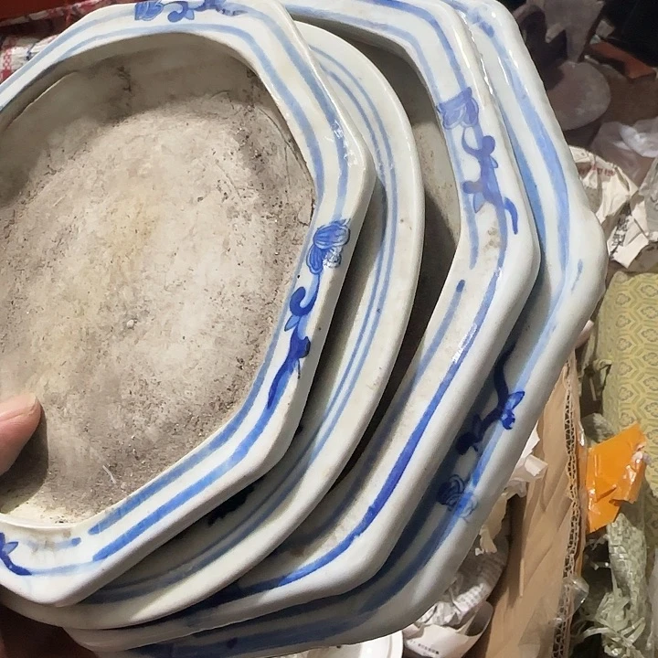 香榧木小*保Fgfgghgggg