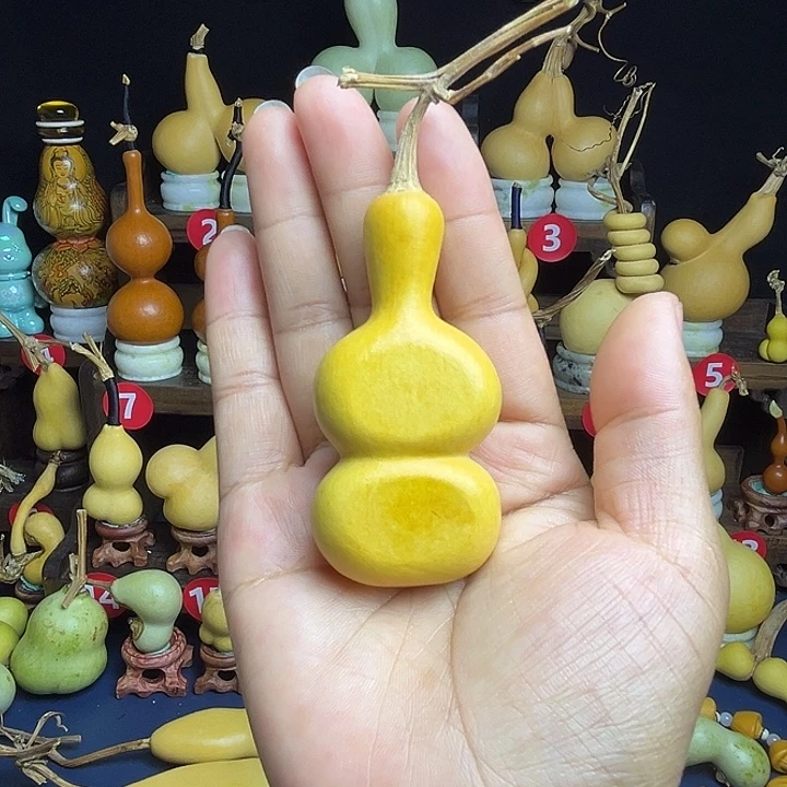 大***司精品粗嘴五五肚八宝扁