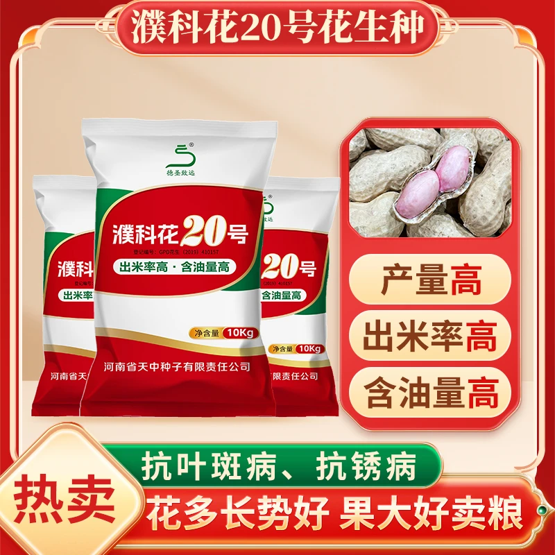 10袋组合装-濮科花20号优质花生品种含油量高皮 薄籽大抗叶斑病