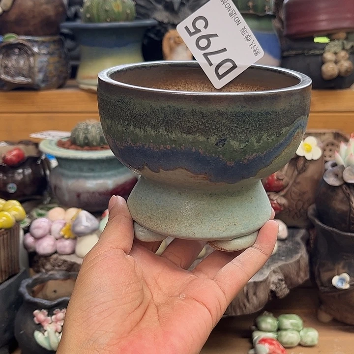 这个世界就是说什么795