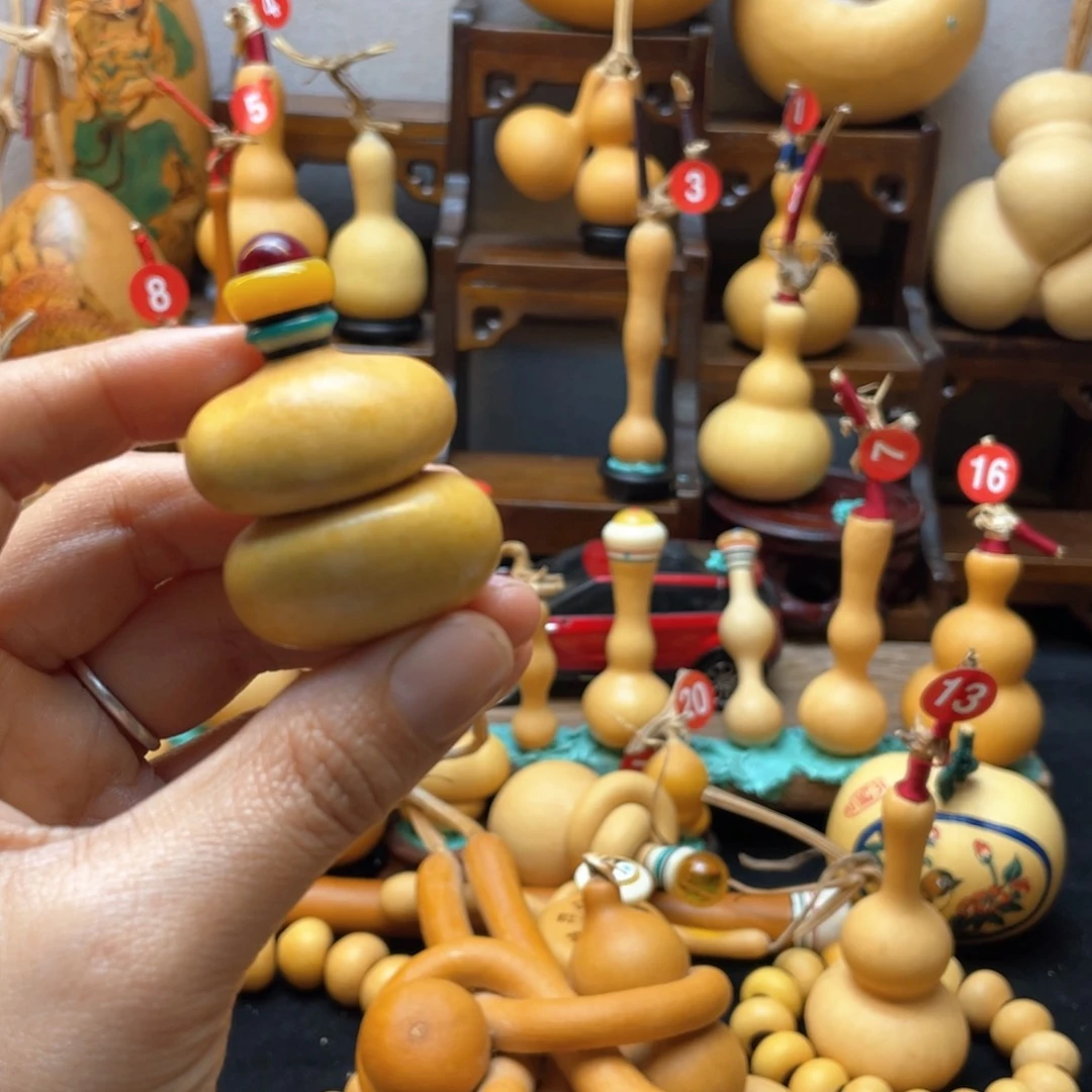 李*大自然的秘密第十一节你是什么