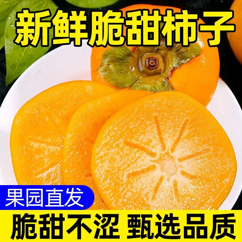 云南现摘巧克力脆柿甜脆多汁冰糖心新鲜秋季水果