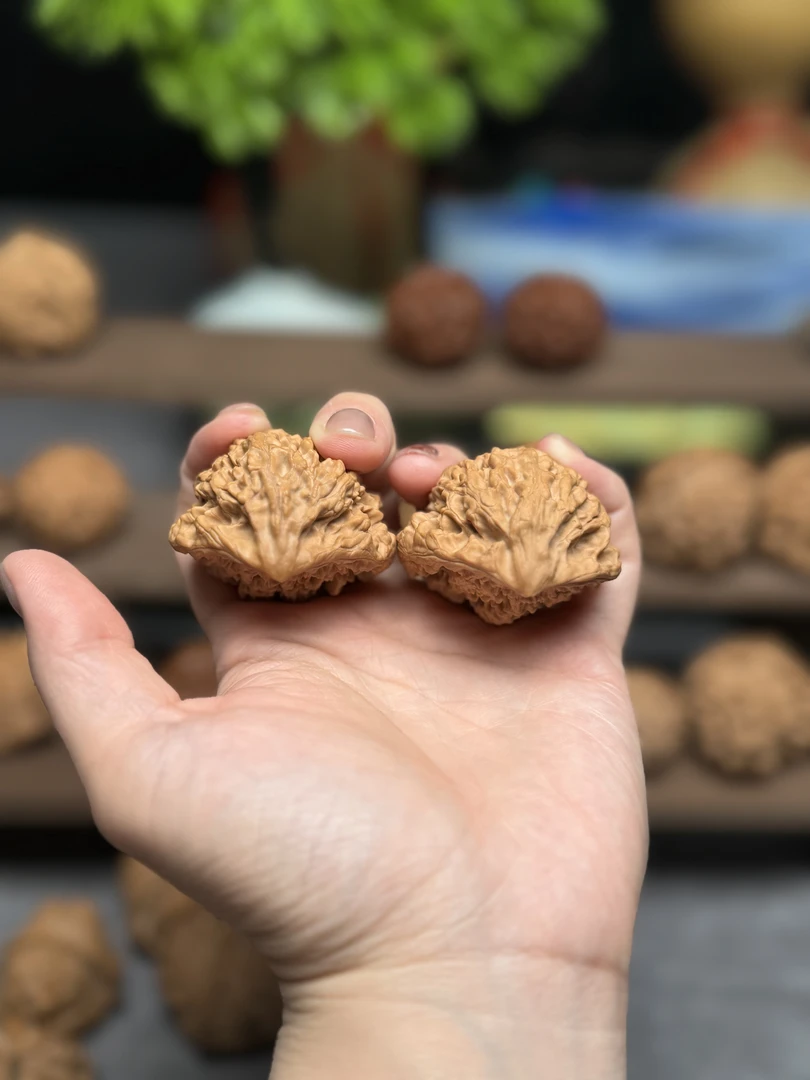 老奉天核桃张精品野生核桃大蛇头核桃原色手工打底配对精美手把件