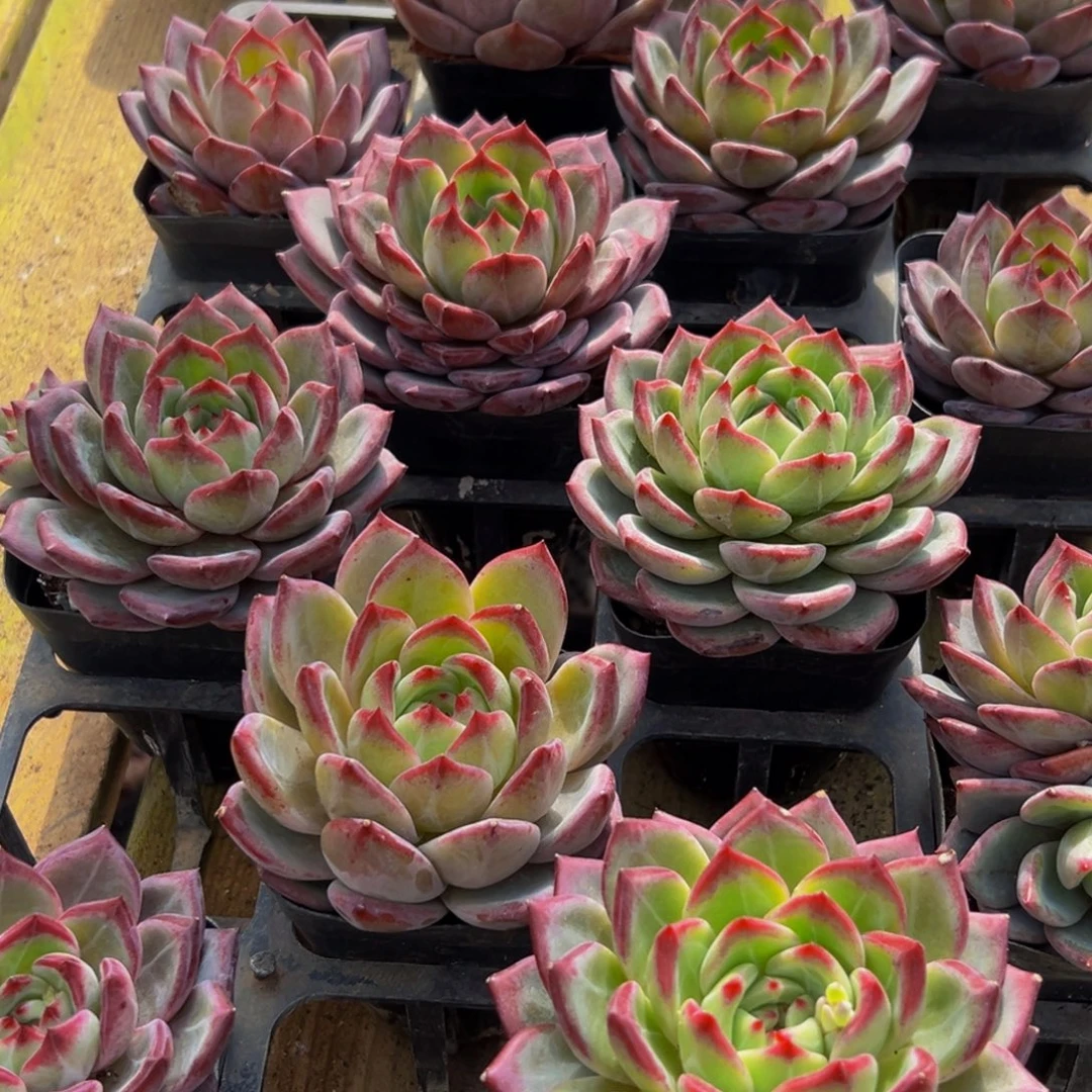 豪***839分点点滴滴的方法非常