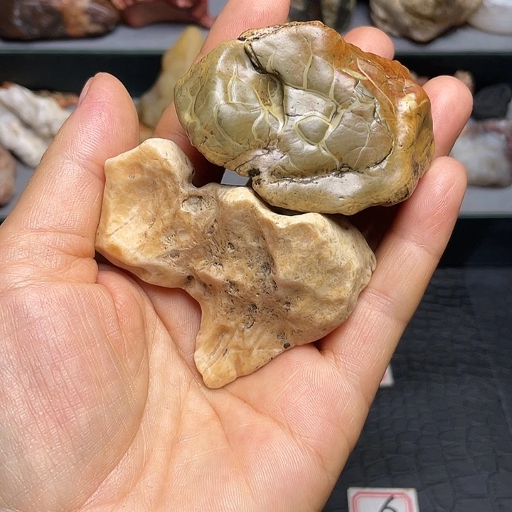 抖***抖有机玻璃阿拉善戈壁石