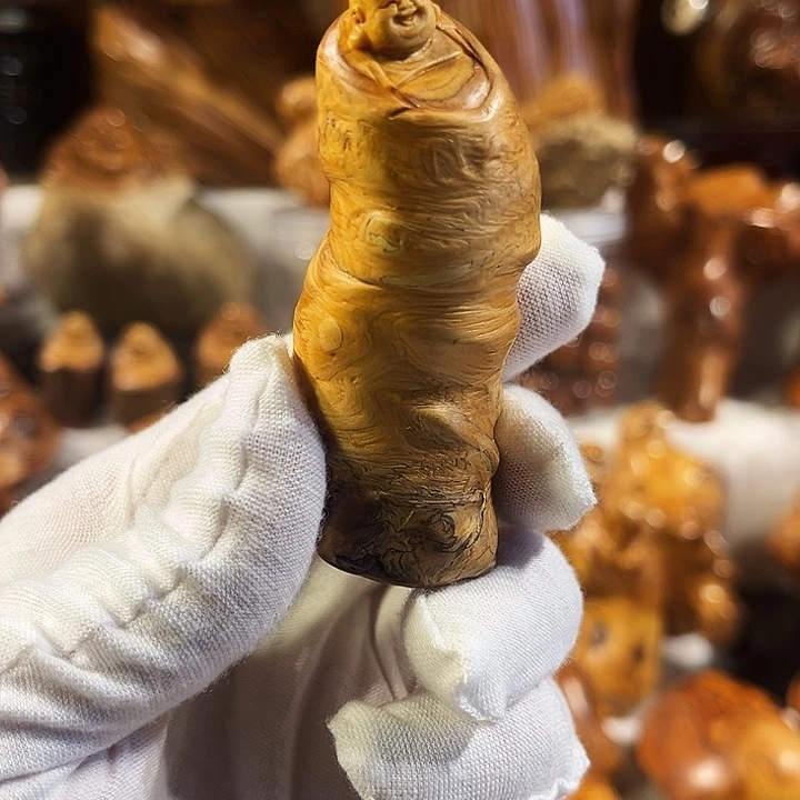 柏木太行崖松转丝坨乐乐