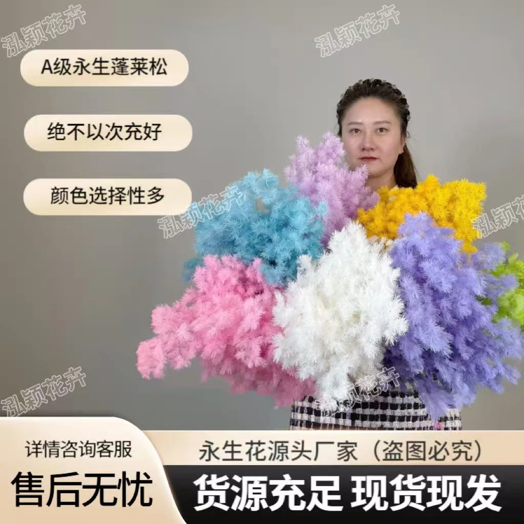 不掉针永生蓬莱松手工diy花材居家软装拍照保鲜必备(4把有赠品)