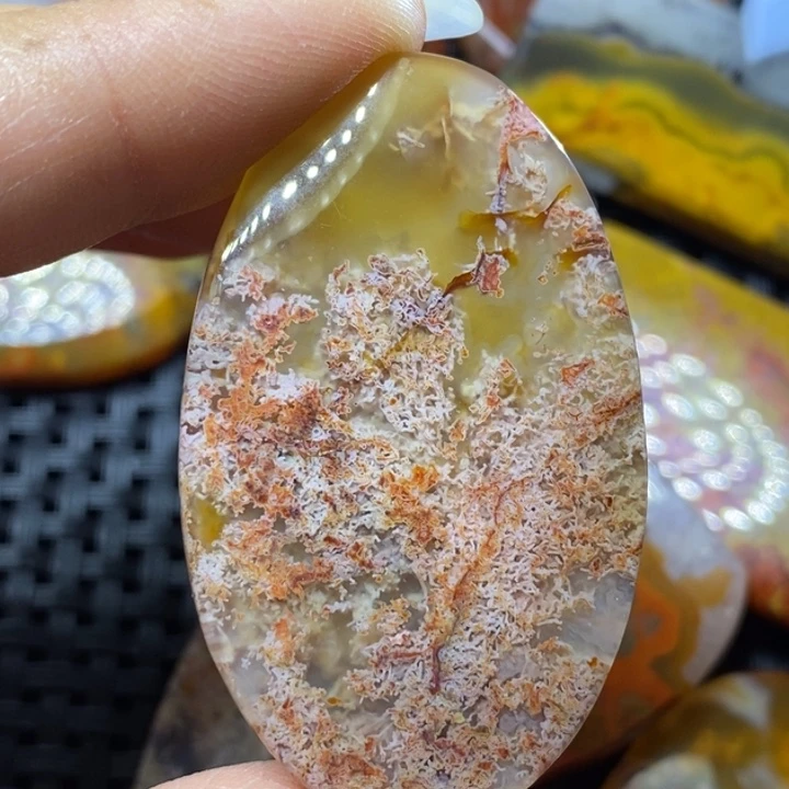未镶嵌颈饰玛瑙/玉髓西**瑶