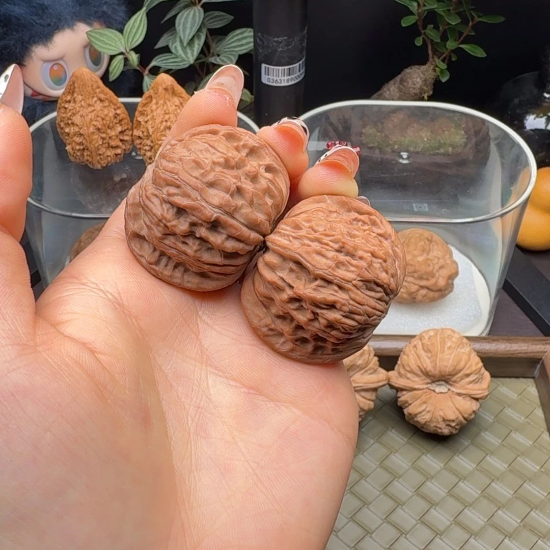 龙脊菩提把件全品血磨正磨40