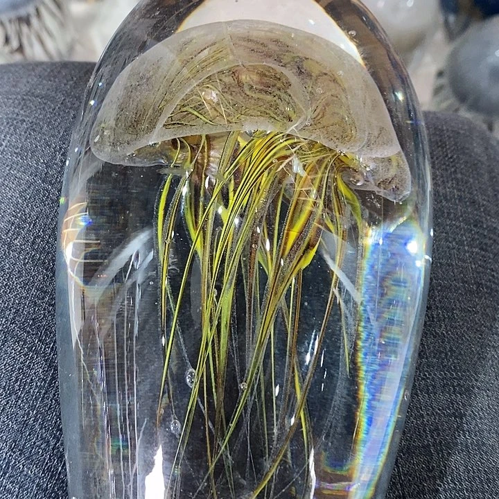 微瑕11555232335232558