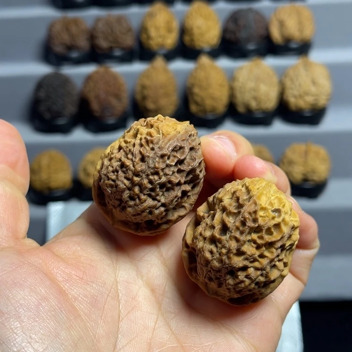 文玩核桃把件1-45