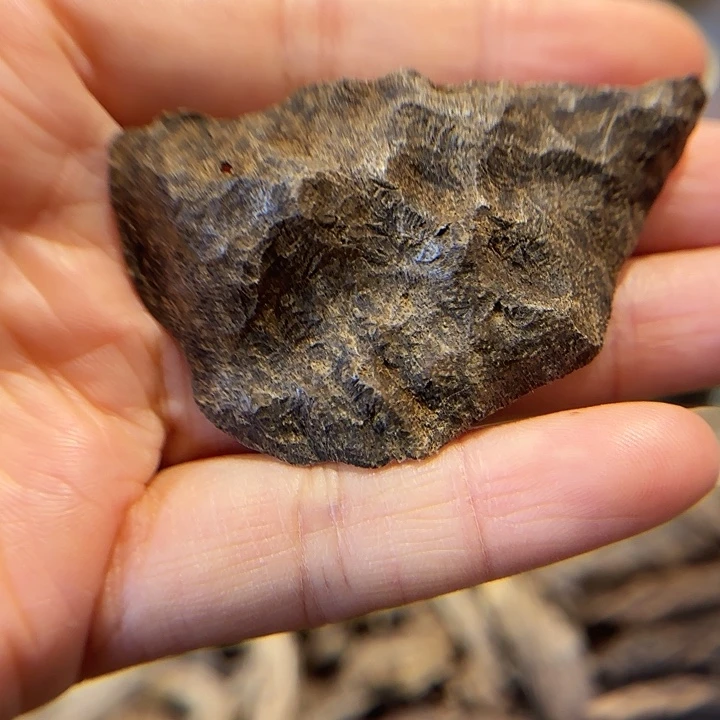 菩萨壳料2.8克熏料