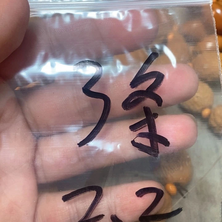 橄榄核手串/手链朱*橄榄微瑕2.2的3串