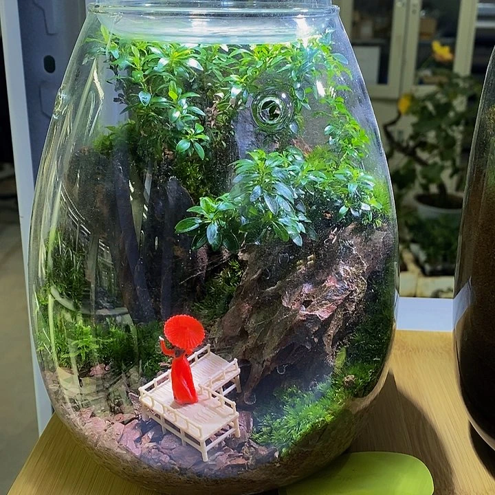 无花朵古风集露杯带灯