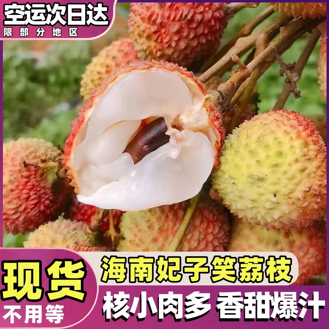 海南妃子笑荔枝5斤装（顺丰空运）