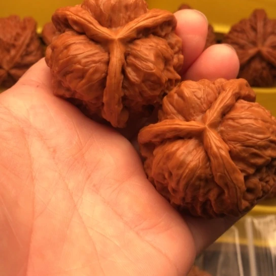 8***3核桃核桃核桃核桃核桃