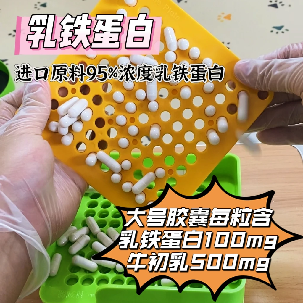 大黄小虎猫咪-进口原料（乳铁）营养补充