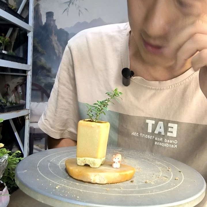 A***n中青园艺一物一拍108