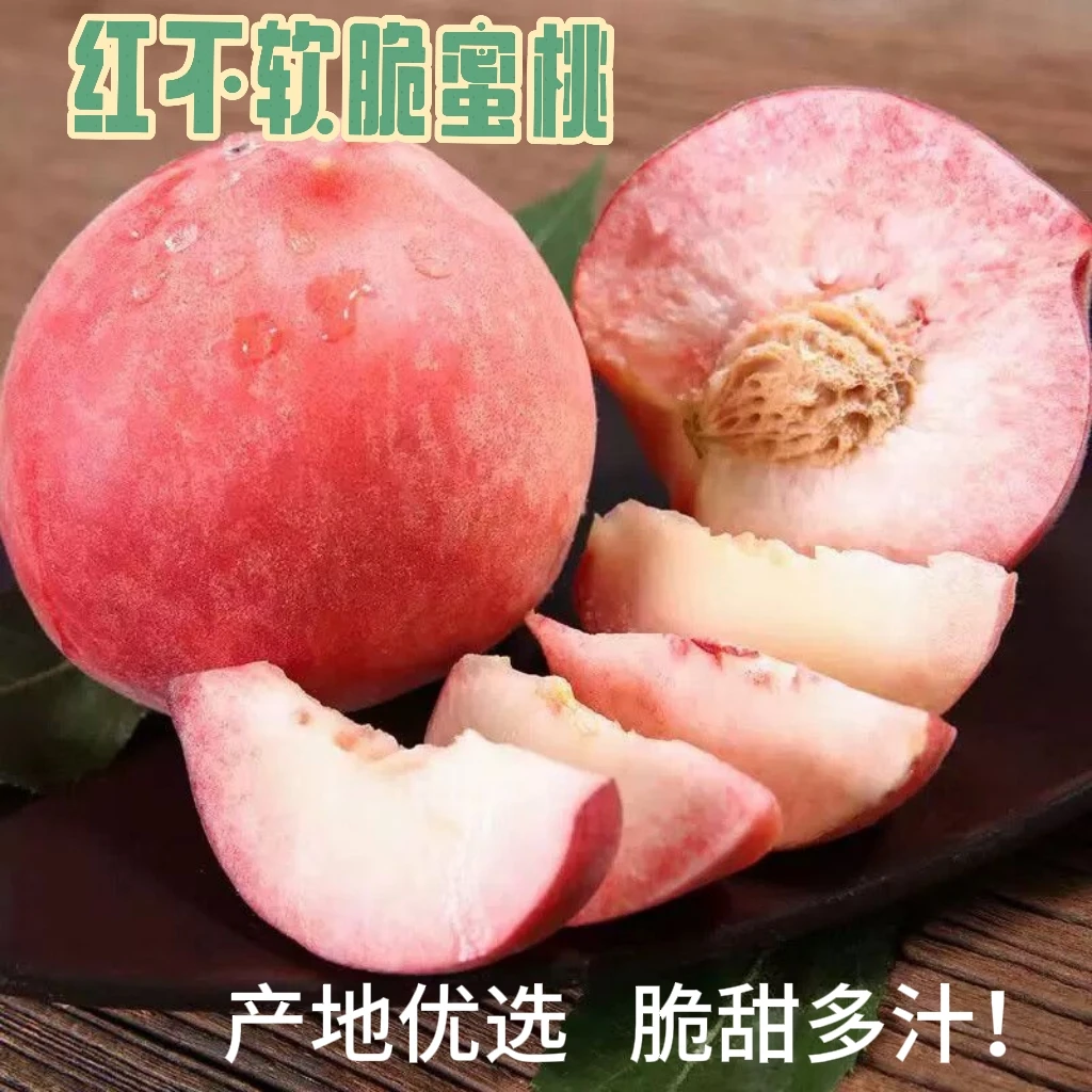 山西运城红不软脆桃 新鲜采摘 坏果包赔