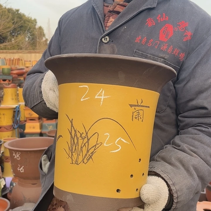 紫砂花盆紫砂花盆盆栽