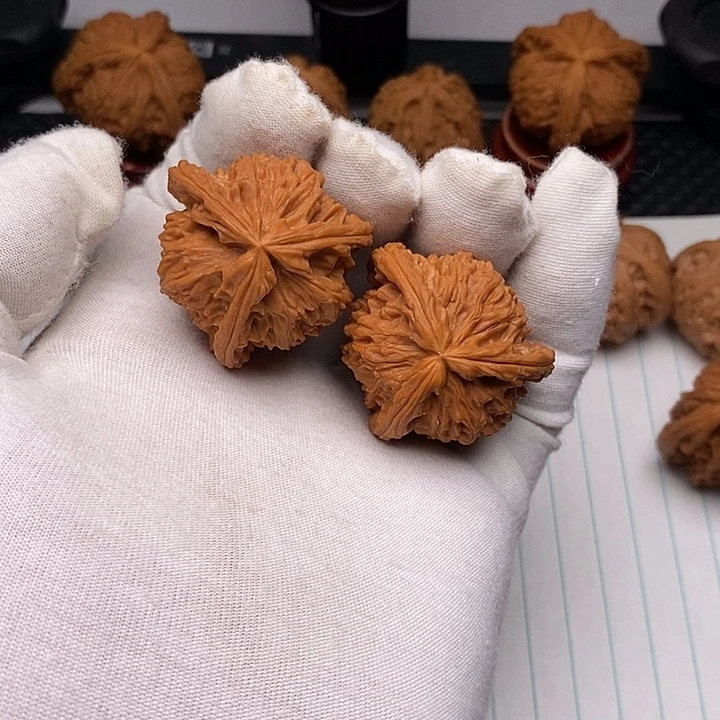 手串/手链核桃白狮子2