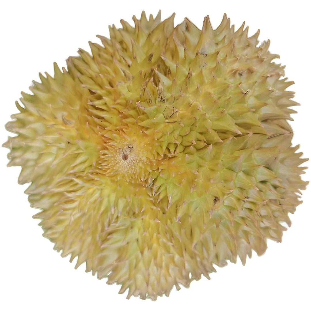 新鲜泰国金枕榴莲核小整果5-8斤一物一拍榴莲同城送榴莲同城配金枕泰国