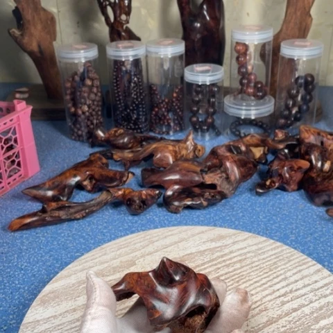 黄花梨/降香黄檀冲*