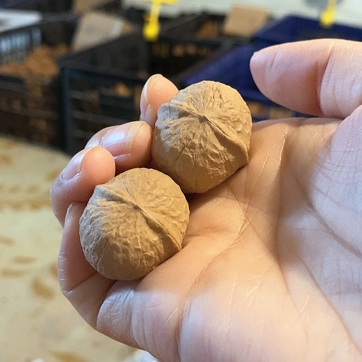 核桃手串/手链木鱼元宝