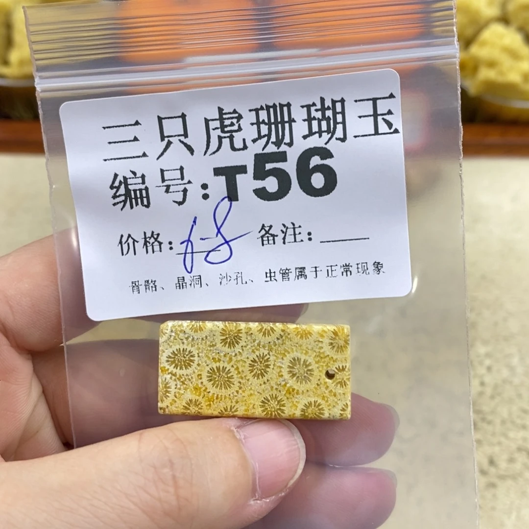 硅化珊瑚（珊瑚玉）1未镶嵌祈*