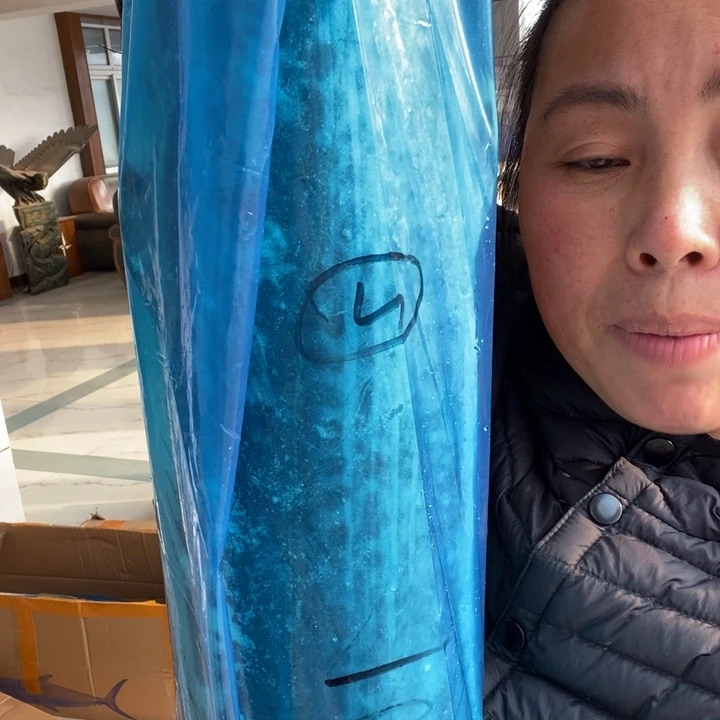 中国大陆渤海湾野生燕鲅鱼2号