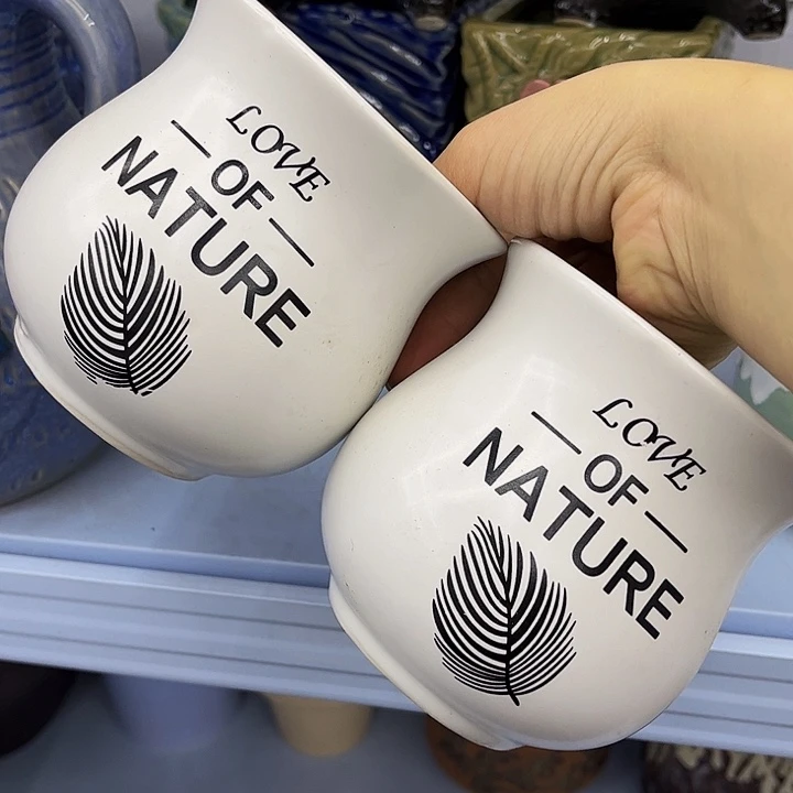 多肉绿植陶瓷花盆9.9包邮，有空