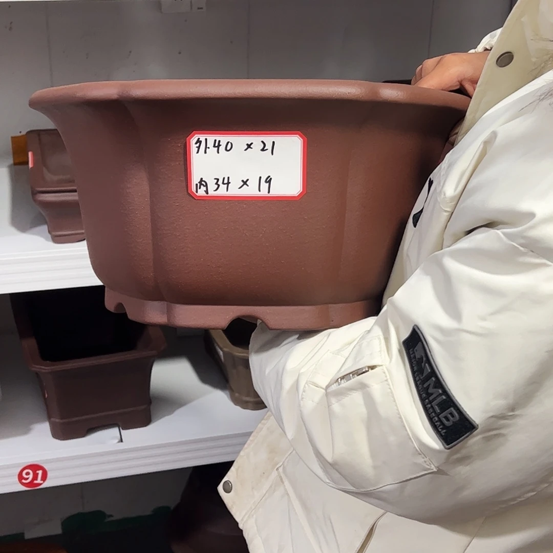 紫砂其他紫砂花盆