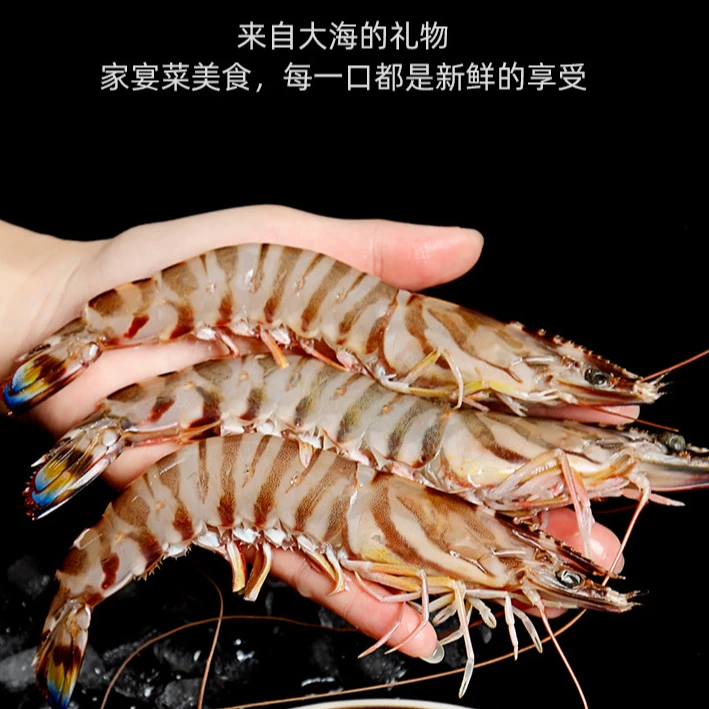 宁波象山石浦竹节虾斑节虾虾尾东海海捕顺风包邮