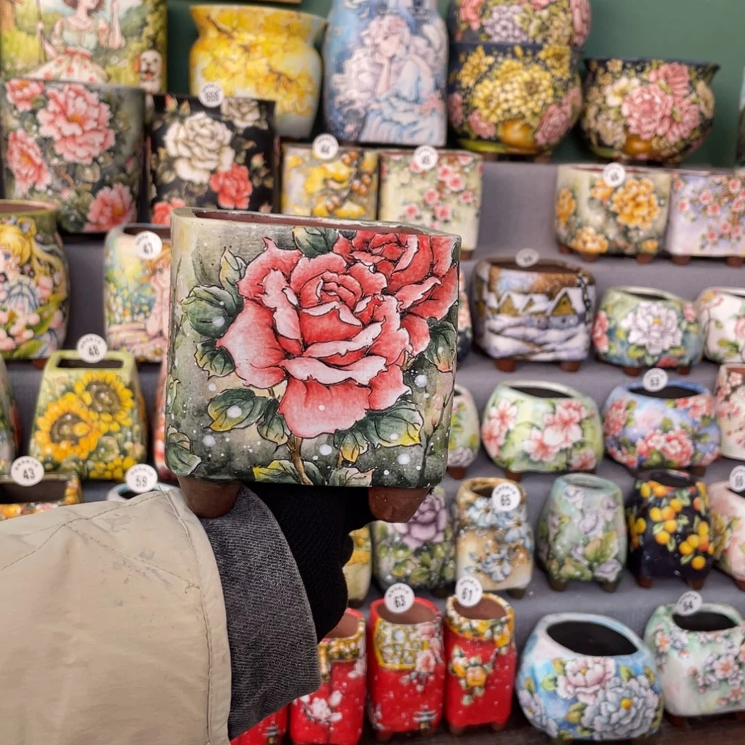 扶泥玫瑰8888888888