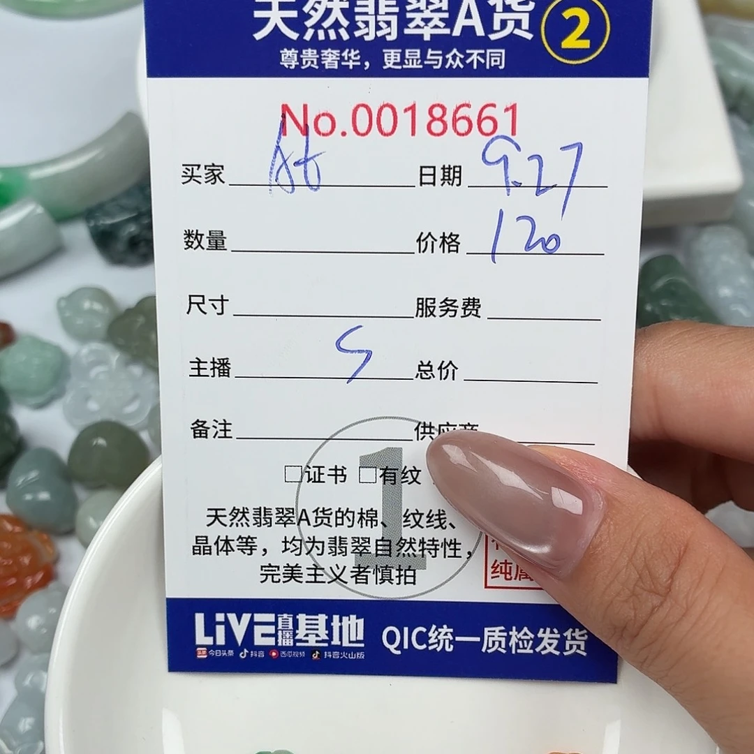 A****翡翠未镶嵌颈饰24