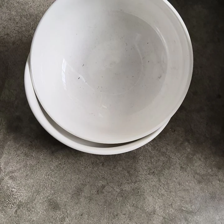 瓷陶瓷盘子口尽18里米两个