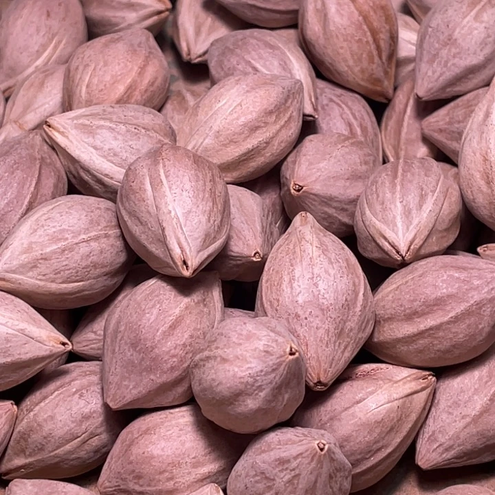 爱***8橄榄核手串/手链不退不换